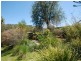 17 Colong Place, Kooringal NSW 2650