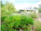 54 Kane Street, Mangoplah NSW 2652