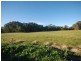 4 Bell Gum Place, Lake Albert NSW 2650