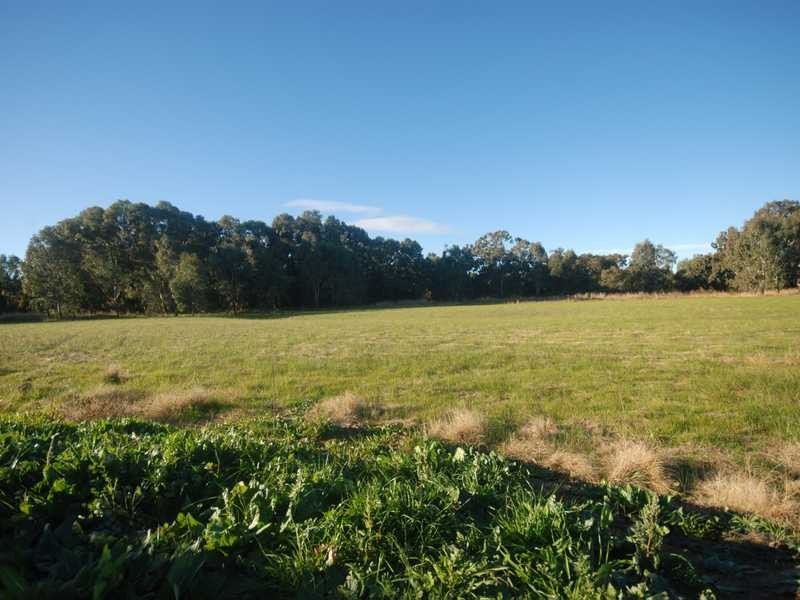 4 Bell Gum Place, Lake Albert NSW 2650