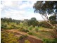 211 Brucedale Drive, Wagga Wagga NSW 2650