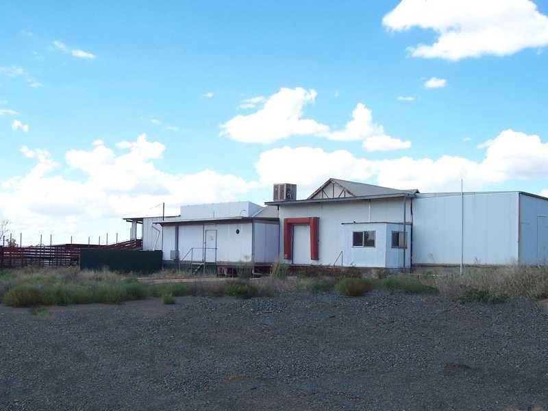 Wyalong Abattoirs, West Wyalong NSW 2671