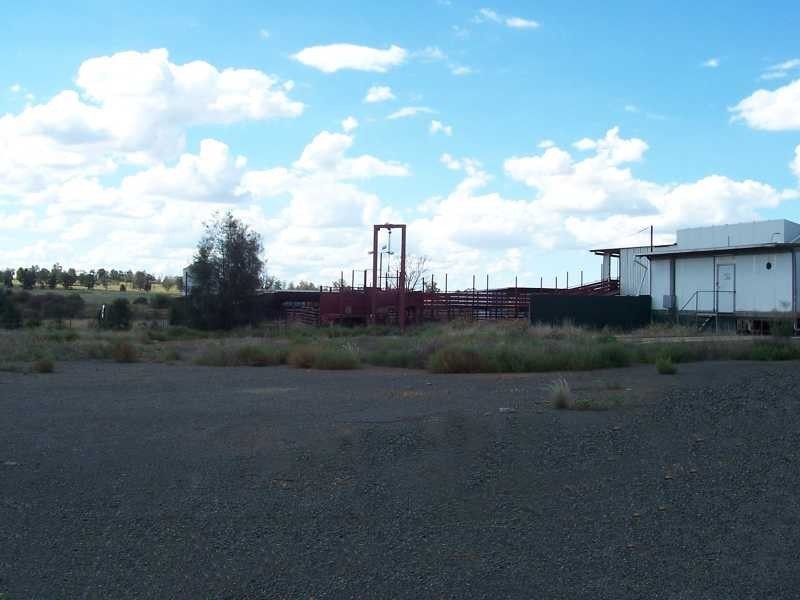 Wyalong Abattoirs, West Wyalong NSW 2671