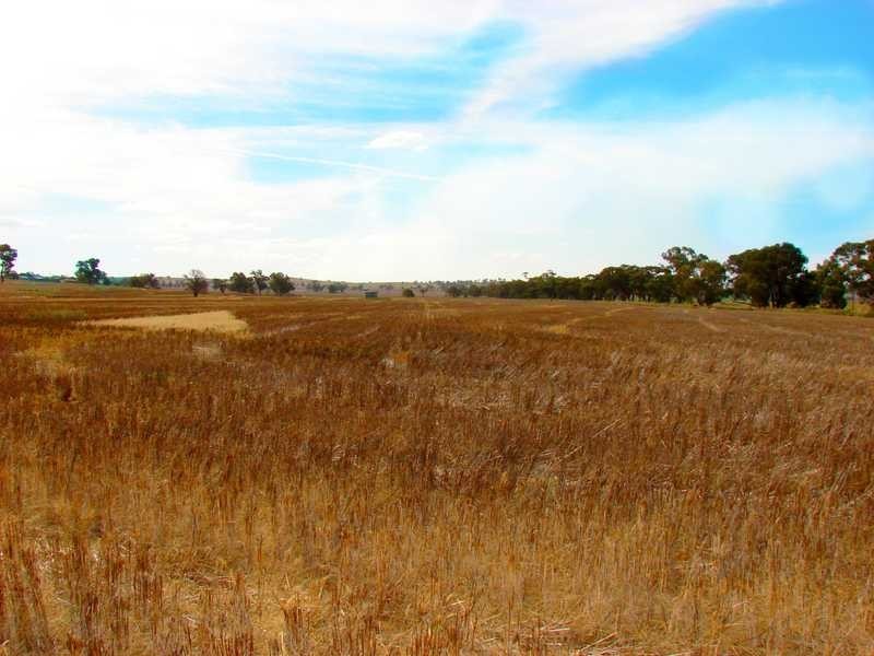 35 Bussenschutts Lane, Wagga Wagga NSW 2650