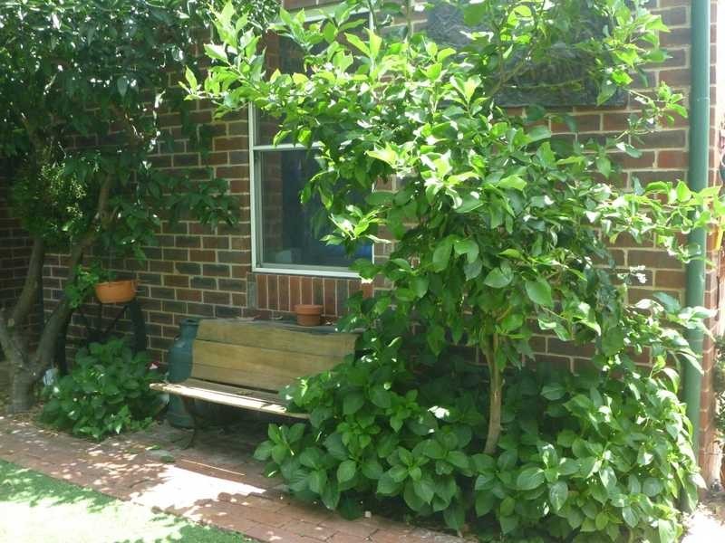 196 Edward Street, Wagga Wagga NSW 2650