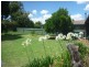 27 Malaya Drive, Tolland NSW 2650