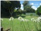 27 Malaya Drive, Tolland NSW 2650