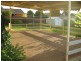 8 Quail Street, Wagga Wagga NSW 2650