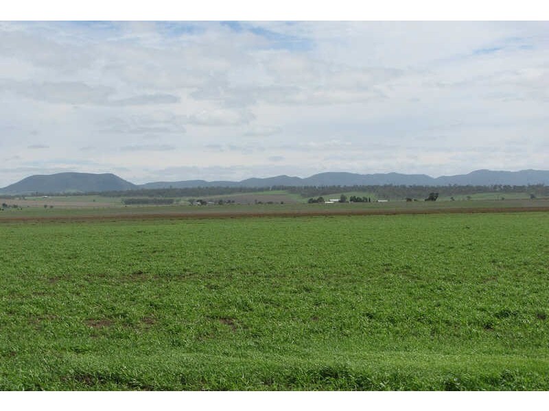 205 Eckhardts Rd, Junabee QLD 4370