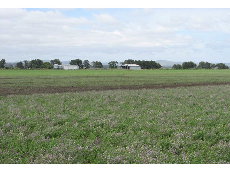 205 Eckhardts Rd, Junabee QLD 4370