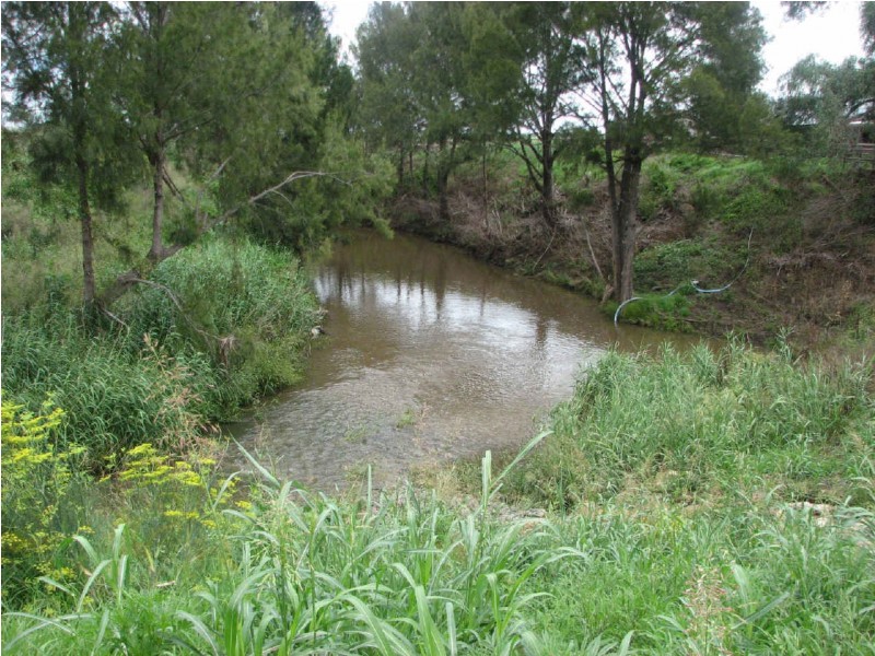 8A Ailanthus Street, Killarney QLD 4373