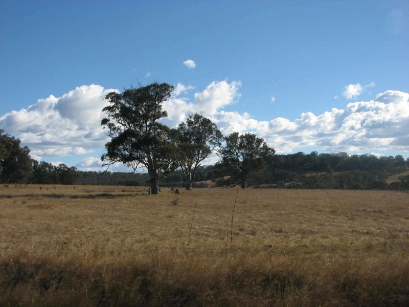 Mount Lindesay Road, Legume NSW 2476