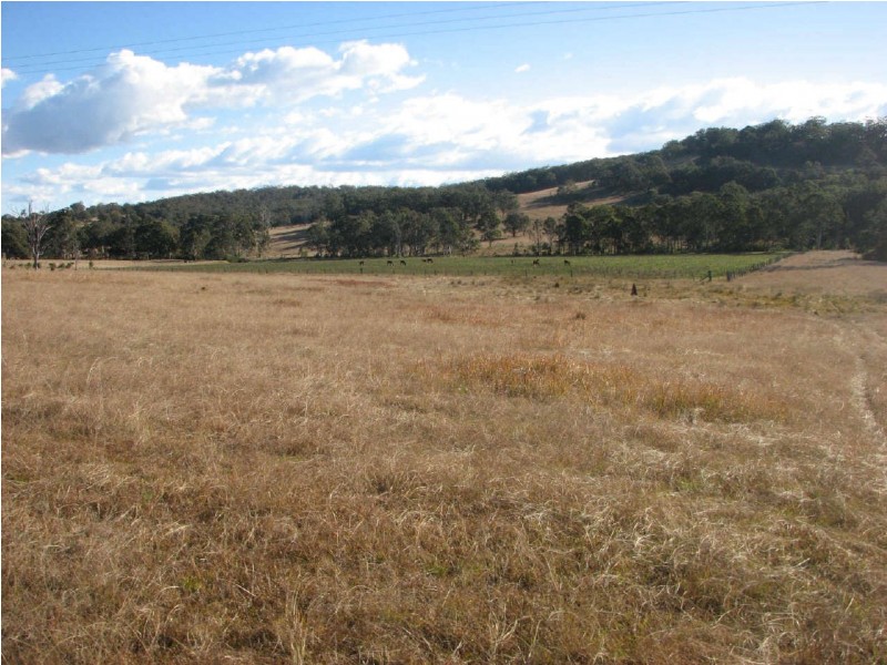 Mount Lindesay Road, Legume NSW 2476