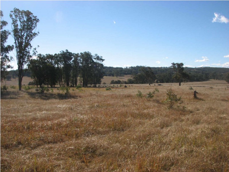 Mount Lindesay Road, Legume NSW 2476