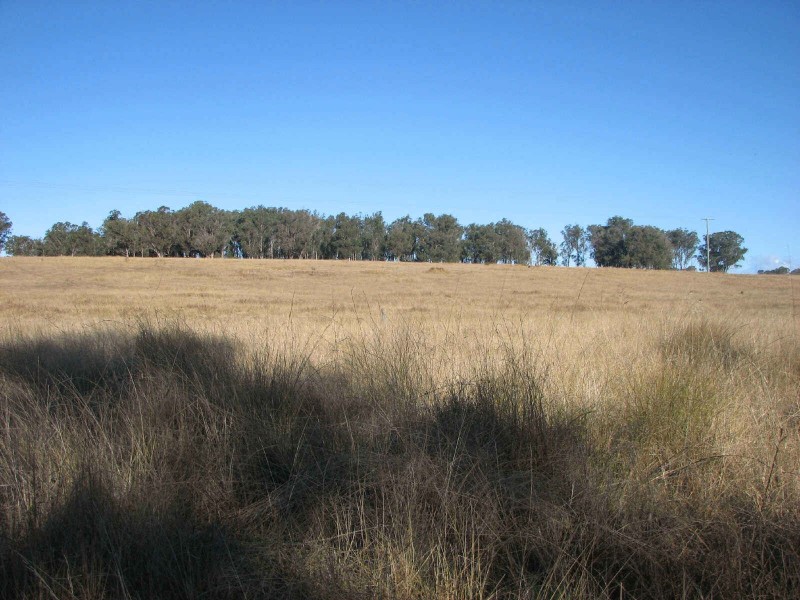 Mount Lindesay Road, Legume NSW 2476