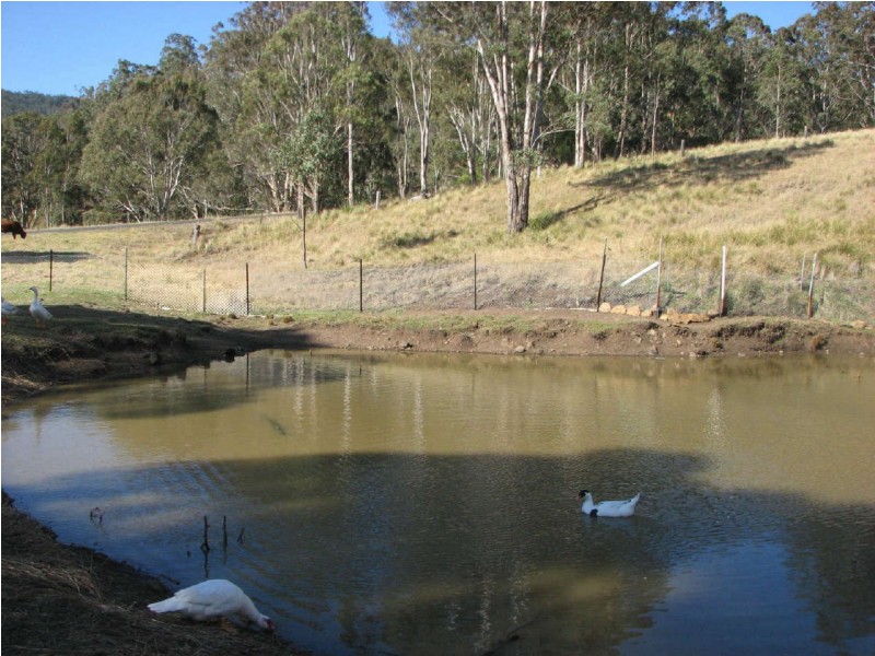 266 Acacia Plateau Road, Legume NSW 2476