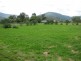 22 Roach Street, Mount Colliery QLD 4370