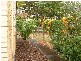 42 Bishop Road, Beachmere QLD 4510
