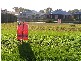 Beachmere QLD 4510