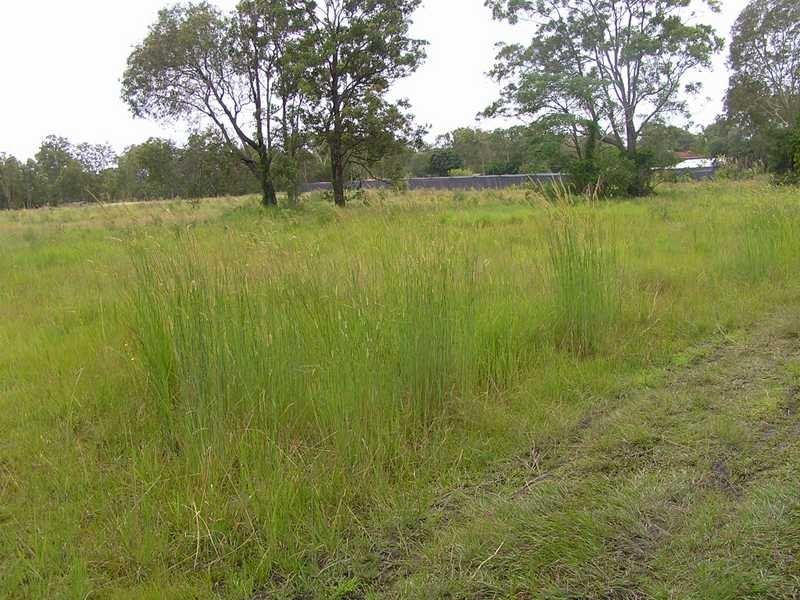 16 Bishop Road, Beachmere QLD 4510