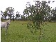 194 Caboolture Bribie Island Road, Caboolture QLD 4510