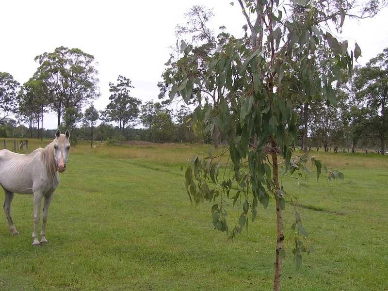194 Caboolture Bribie Island Road, Caboolture QLD 4510