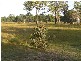 194 Caboolture Bribie Island Road, Caboolture QLD 4510