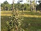 194 Caboolture Bribie Island Road, Caboolture QLD 4510