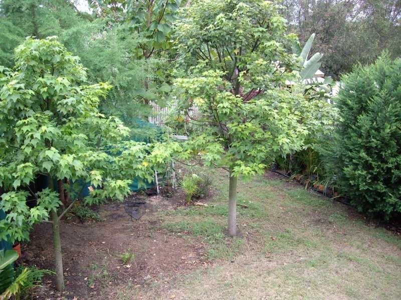 15 Saint Smith Road, Beachmere QLD 4510