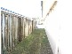 Beachmere QLD 4510