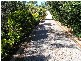 Elimbah QLD 4516