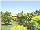 Elimbah QLD 4516