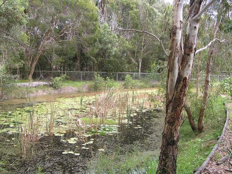 Beachmere QLD 4510