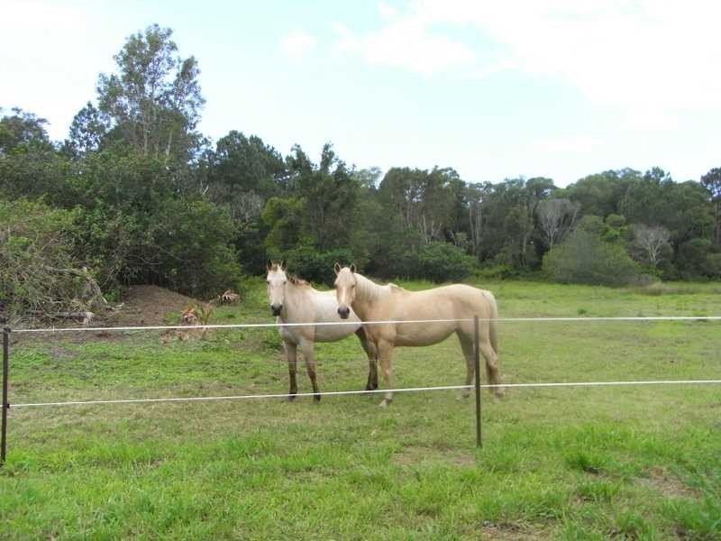 14-26 Murray Court, Beachmere QLD 4510