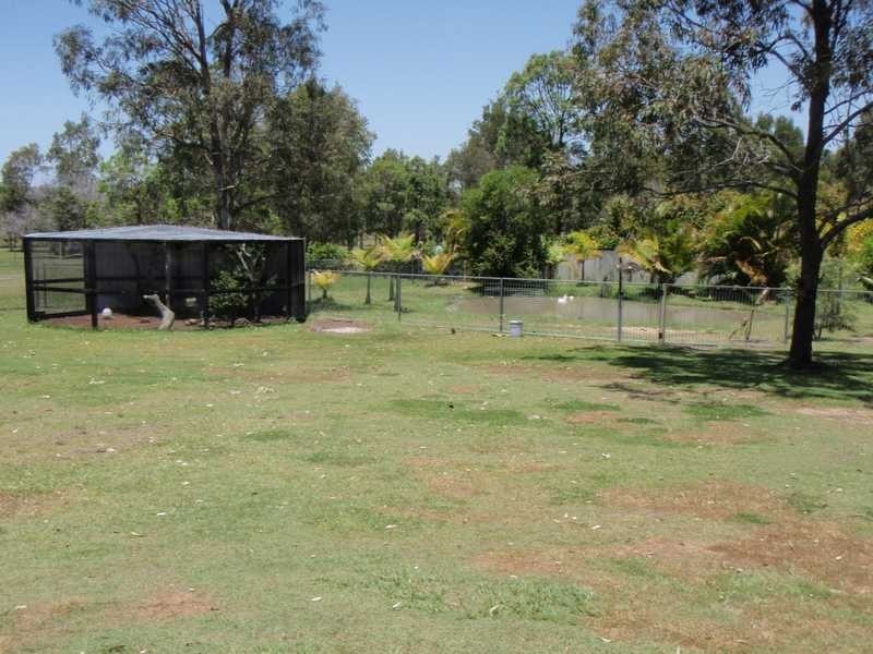 54 Fauna Way, Ningi QLD 4511