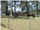 54 Fauna Way, Ningi QLD 4511