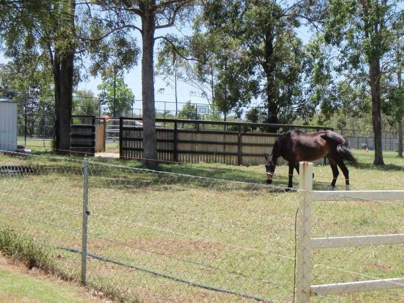 54 Fauna Way, Ningi QLD 4511