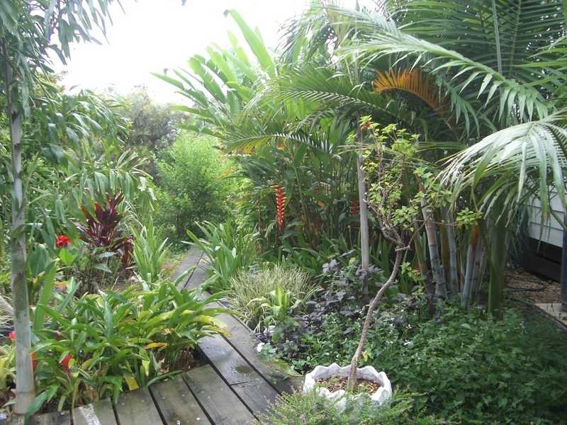 42 Ascot Street, Caboolture QLD 4510