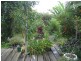 42 Ascot Street, Caboolture QLD 4510