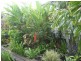 42 Ascot Street, Caboolture QLD 4510