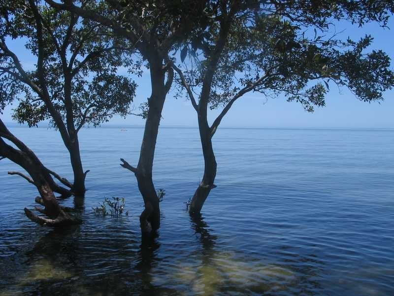 149 Bishop Road, Beachmere QLD 4510