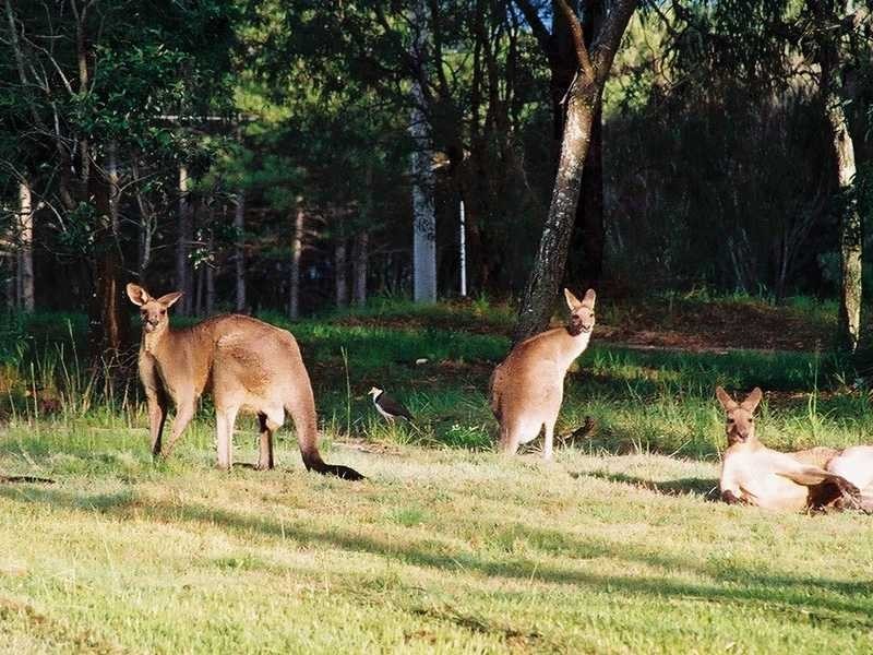 149 Bishop Road, Beachmere QLD 4510