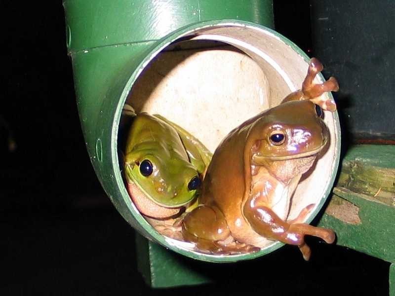 149 Bishop Road, Beachmere QLD 4510