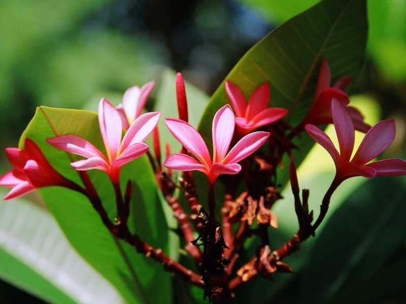 149 Bishop Road, Beachmere QLD 4510