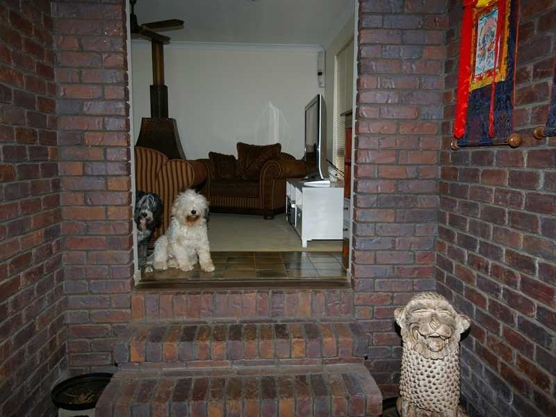 44 Eucalypt Street, Bellara QLD 4507