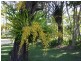 149 Bishop Road, Beachmere QLD 4510