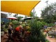 Shop/7 Regina Street, Ningi QLD 4511