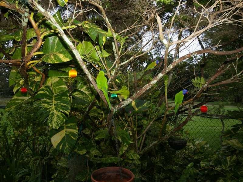 395 Bishop Road, Beachmere QLD 4510