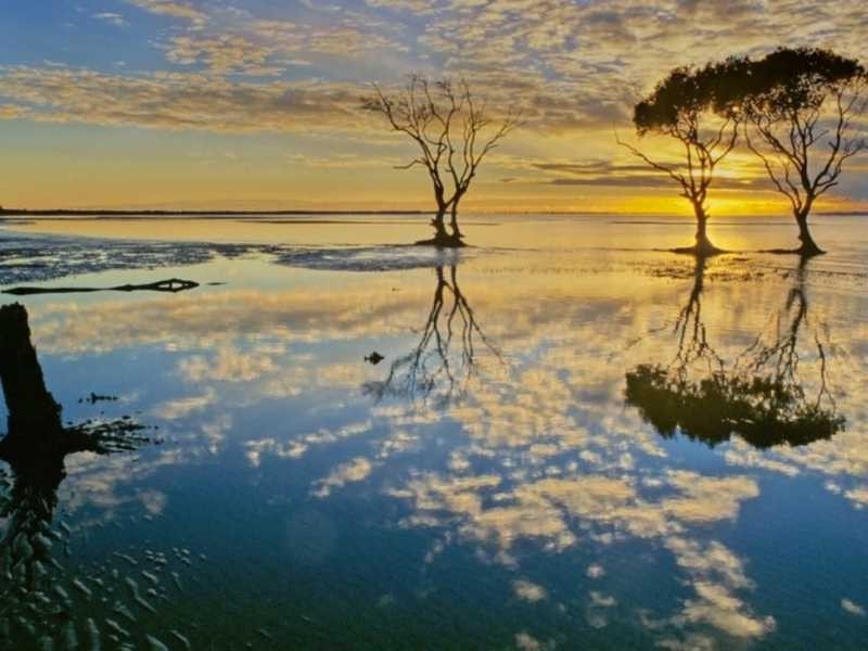 15 Yaraan Crescent, Beachmere QLD 4510