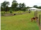 133 Relesah Drive, Ningi QLD 4511
